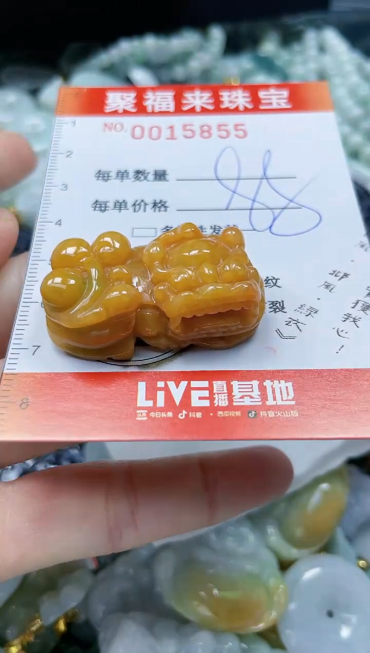 【闪购商品】翡翠颈饰未镶嵌闪购0015855