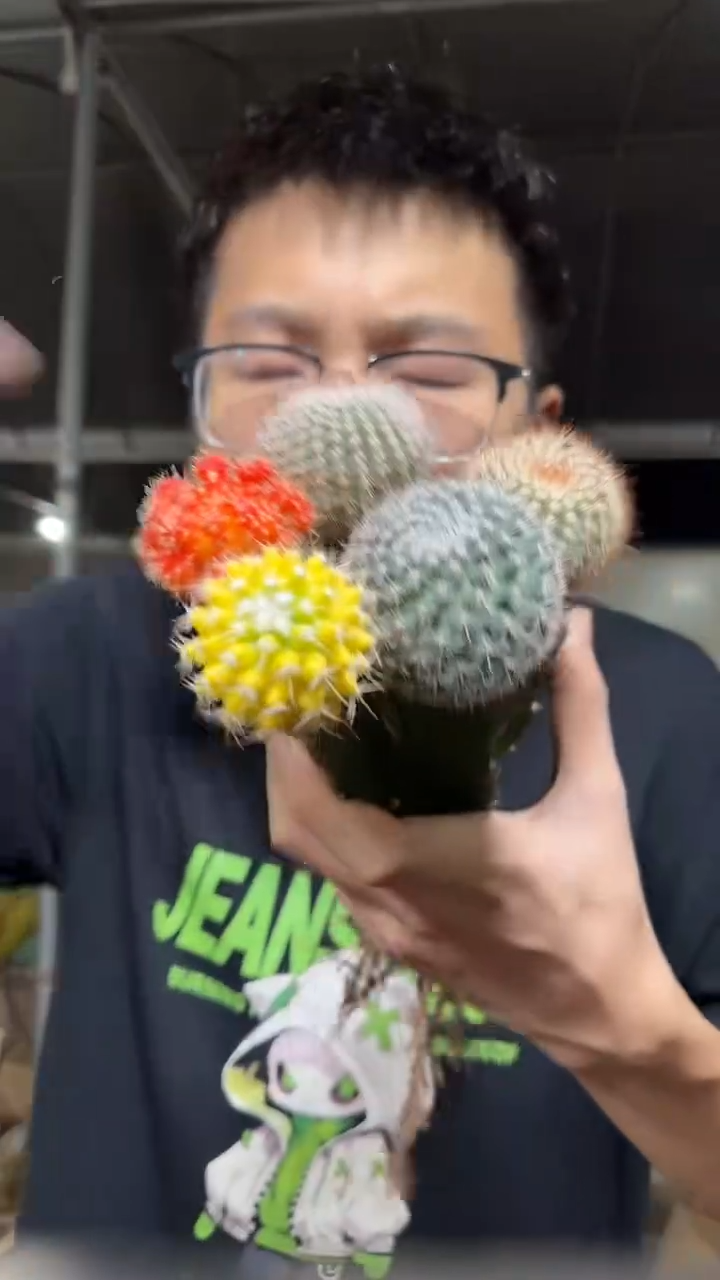 5色球组合【嫁接】