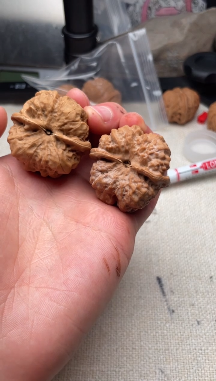 把件文玩核桃到***.1201-到点睡觉.-蛤蟆