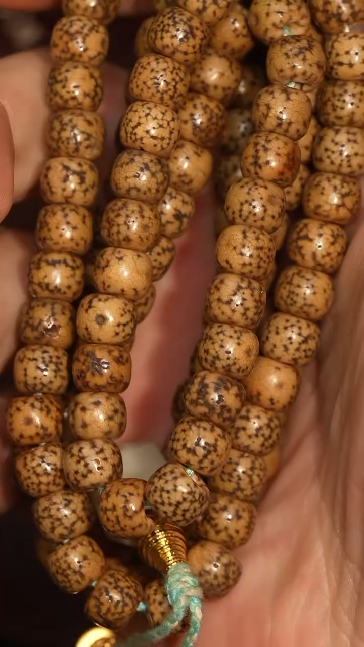 冲赛康胡子哥，藏传念珠77