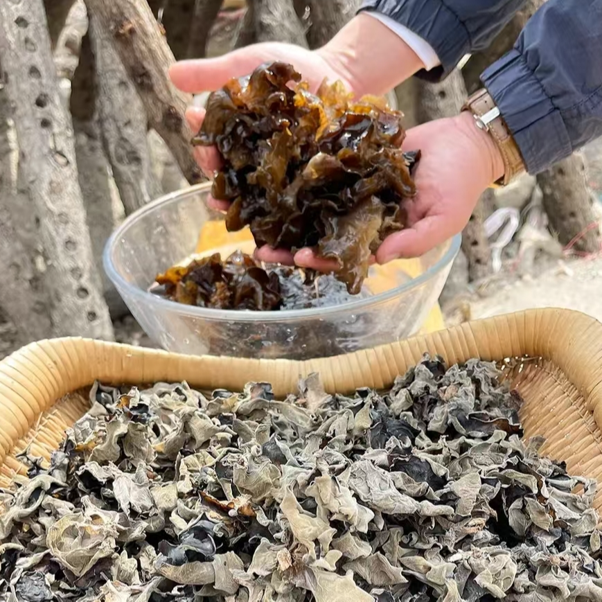 湖南隆回木耳干货新货头茬农家精选肉厚无根干净无沙