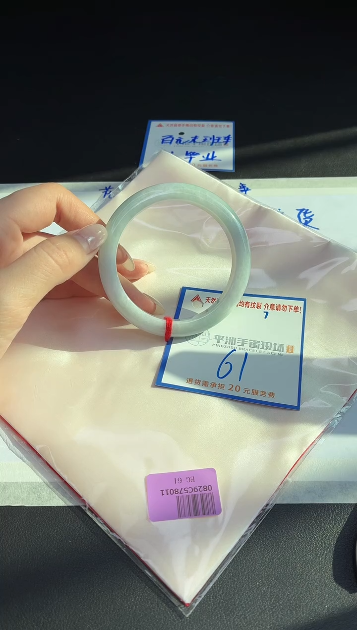 未镶嵌手镯翡翠1111