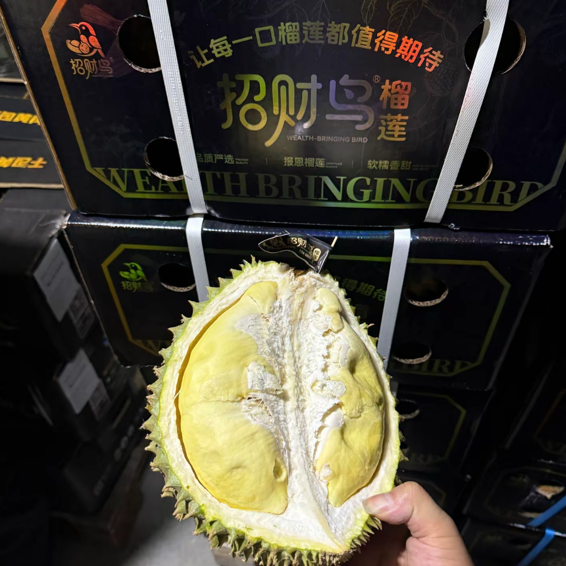 [“招财鸟”空运 1219] 泰国金枕鲜榴莲核小3斤-5斤金枕泰国南部