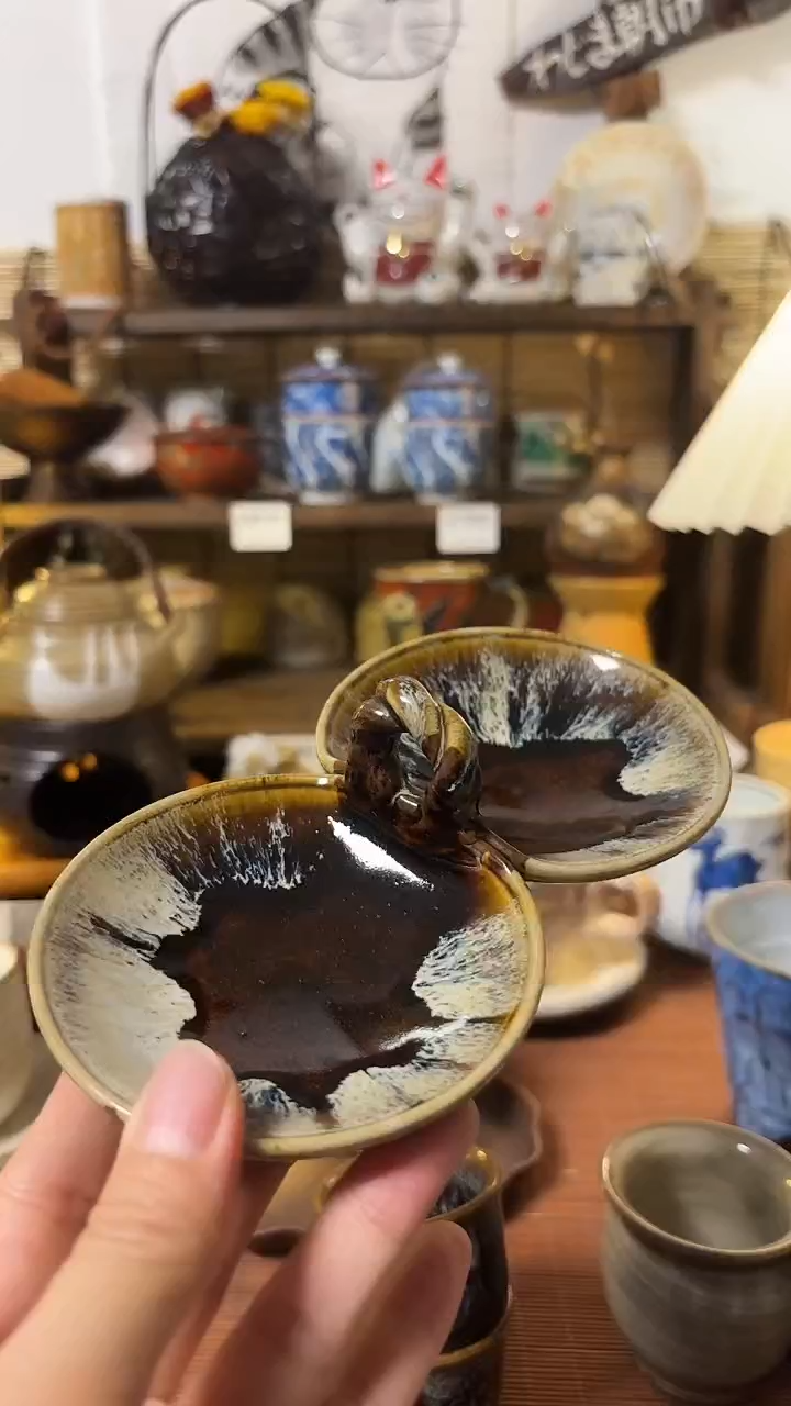 瓷片喵喵家都是大漂亮