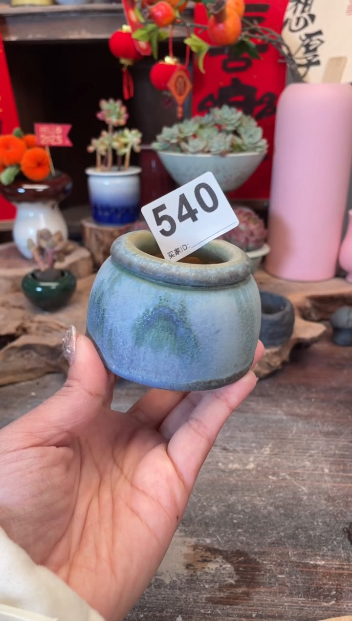 【闪购商品】摆件540知木小芳花盆