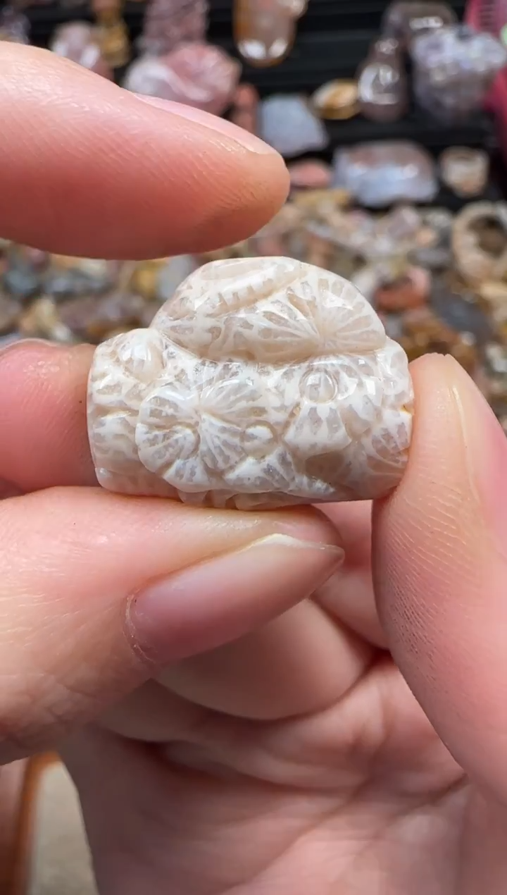 颈饰未镶嵌硅化珊瑚（珊瑚玉）266