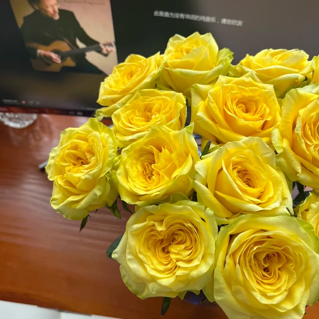 月光漫步玫瑰20枝，单头玫瑰