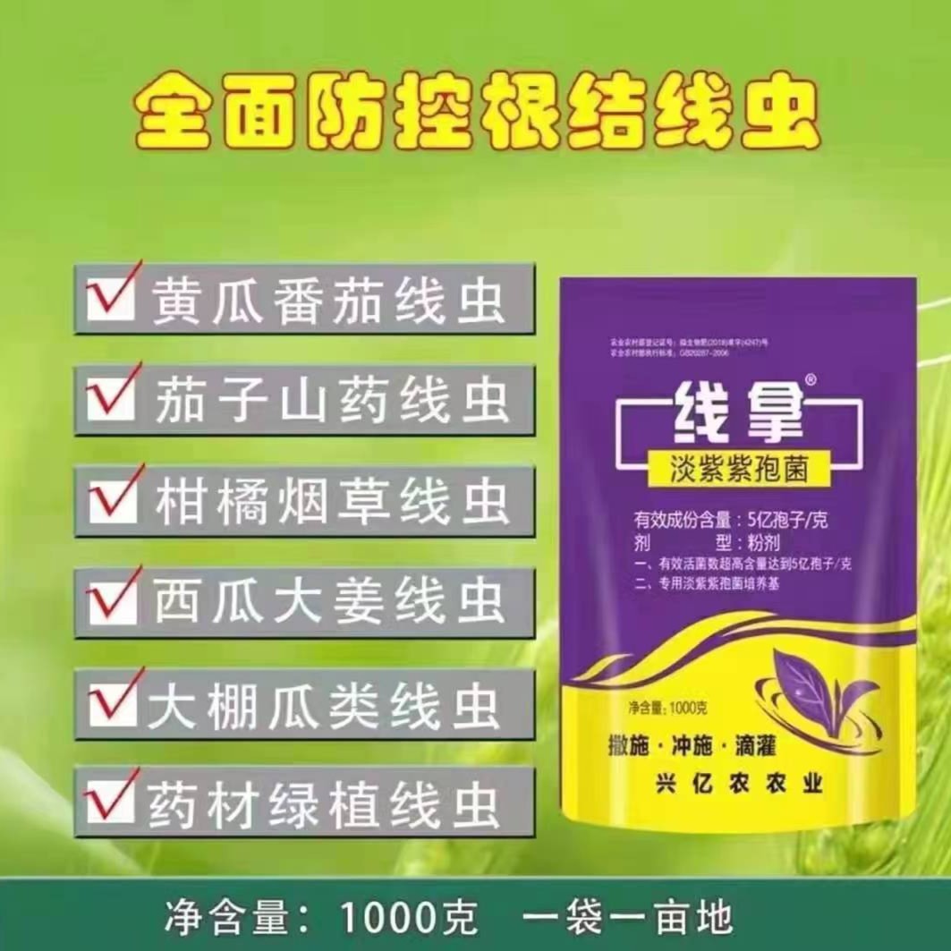 【根结线虫克星】线拿 预防根结线虫淡紫紫孢菌 生根壮根抗冻微生物