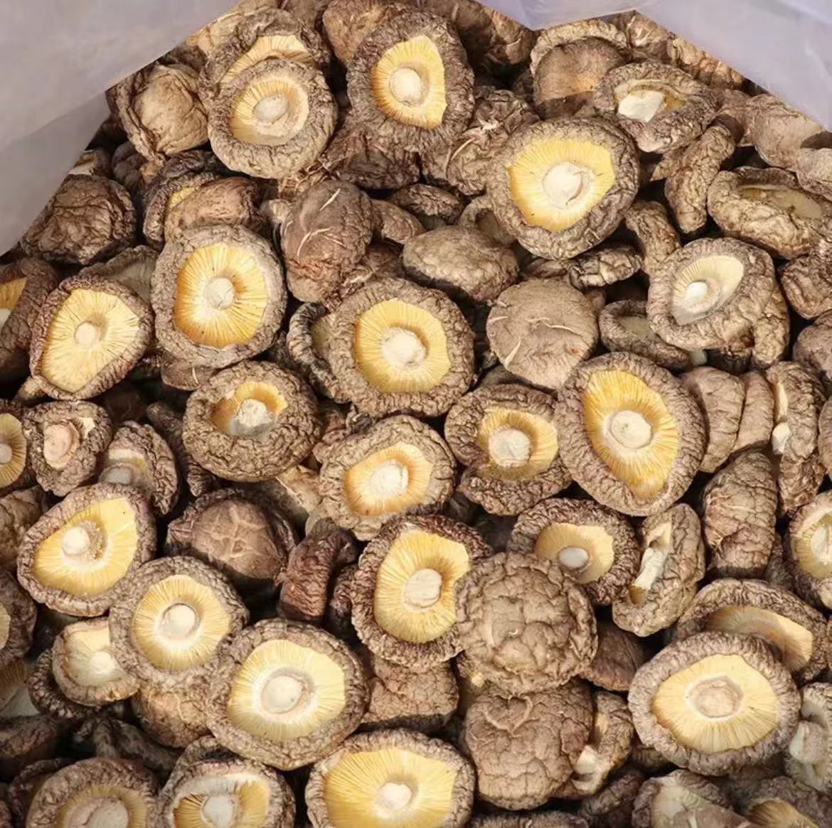 椴木香菇   云南精选优质特产干货  易煮营养煲汤好吃健康