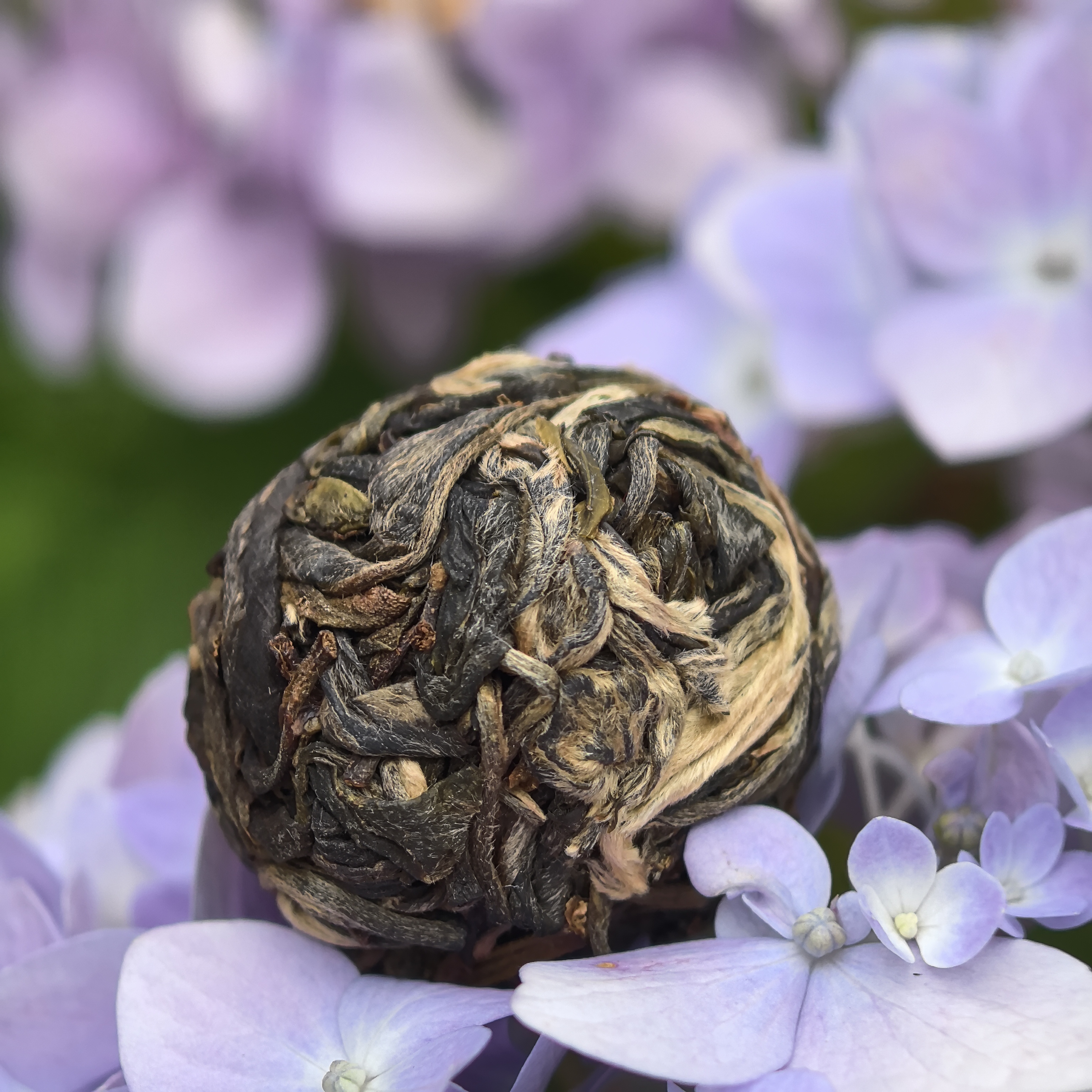 开播福利：高端龙珠组合装  普洱茶（以主播介绍为准）