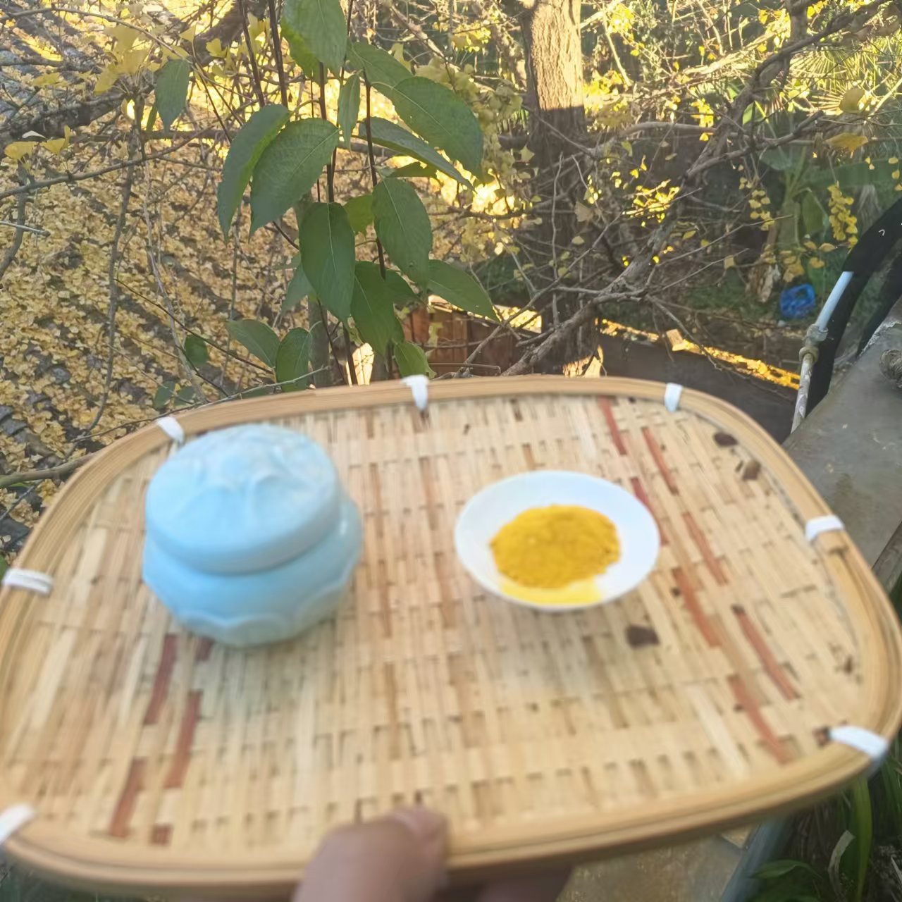 1【土-特-产-X-D】】净含量：2-50g【小田现收】菌