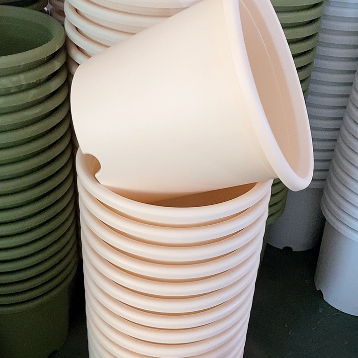 树脂300CM及以上四季6号无托5个颜色备注