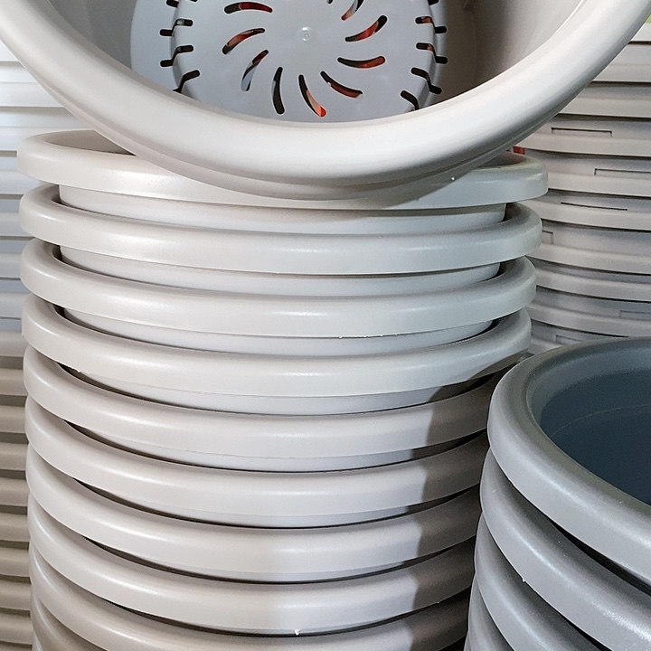 树脂300CM及以上四季8号灰白无托5个