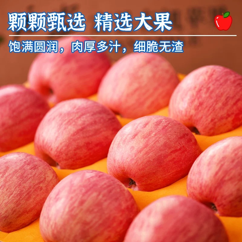 新鲜苹果大果 阿克苏