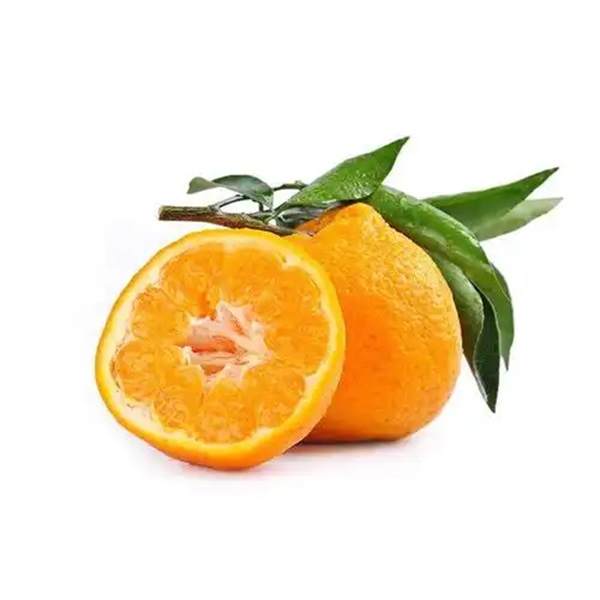 【顺丰送货上楼】匡氏/匡彪虎头耙耙柑/丑桔     1箱-4.5-5斤左右
