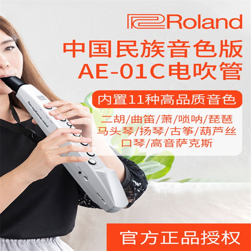 Roland罗兰电子吹管AE01/AE01C电子吹管乐器进口品牌电音管