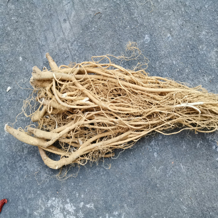 闽南农家炖汤虎尾轮500g