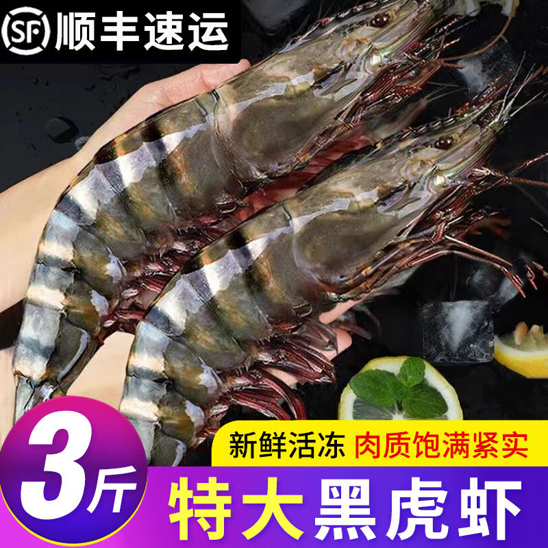 10-15超大黑虎虾S鲜活速冻发货 一斤6-8只 3斤/盒 约20-25只左右