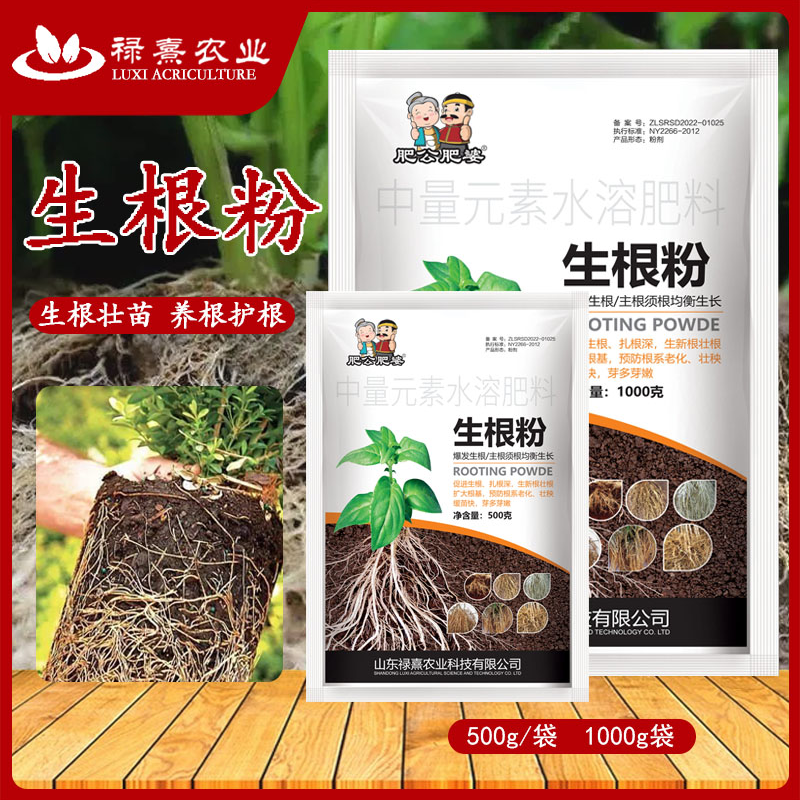 肥公肥婆快速生根粉植物通用生根剂扦插用树木烂根死苗弱苗叶面肥