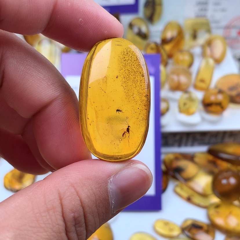 【闪购商品】琥珀裸石未镶嵌
