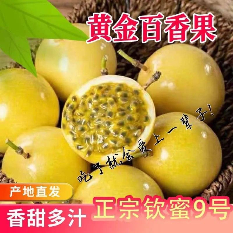 【10枚装】广西钦蜜9号黄金百香果新鲜水果孕妇水果口感香甜现摘