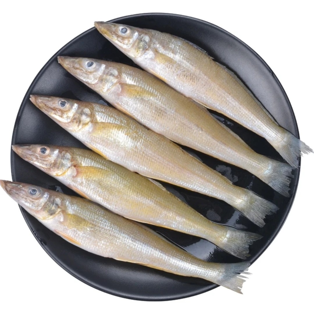 日照发货海鱼沙丁鱼4斤通货