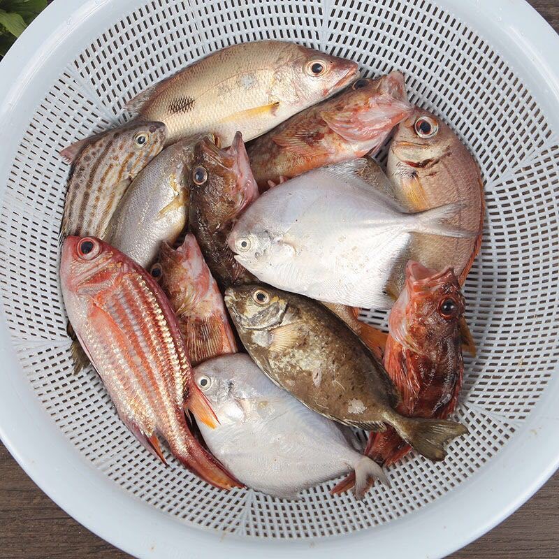 【直播现场称重下单】大连新鲜海鱼 顺丰发货