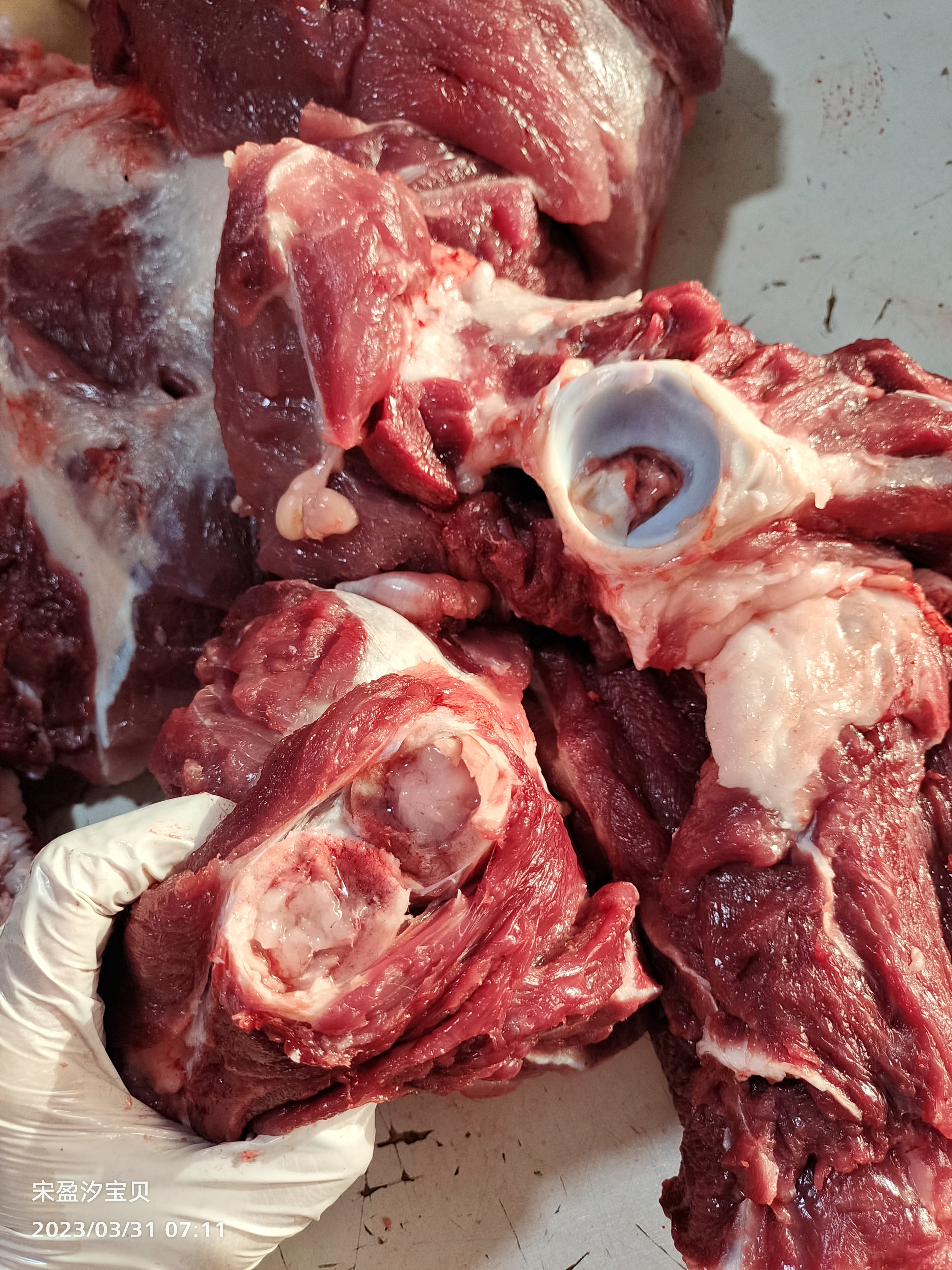 纯东北土猪肉笨猪肉大骨棒包邮