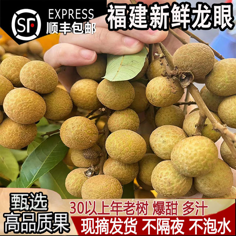 【顺丰速运】福建储良老树龙眼新鲜大果现摘现发石硖脆蜜脆甜桂圆