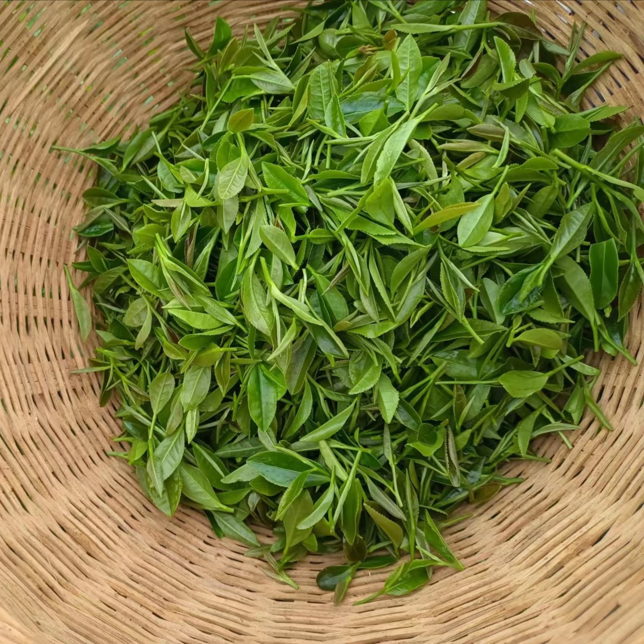 崬陽春无公害认证黄豆喂养花香或豌豆香好茶