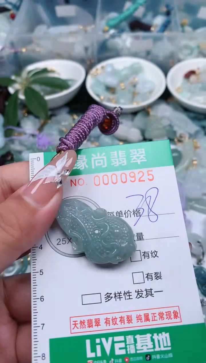 【闪购商品】翡翠颈饰未镶嵌.0000925