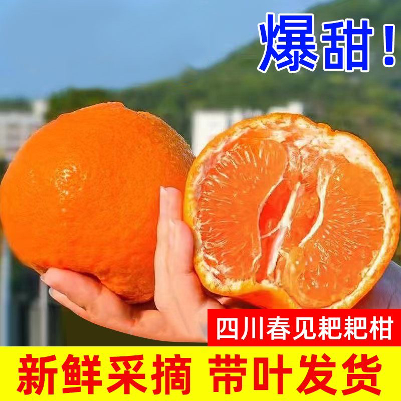 【佳欣】四川春见耙耙柑新鲜水果现摘爆甜多汁5/8斤整箱包邮