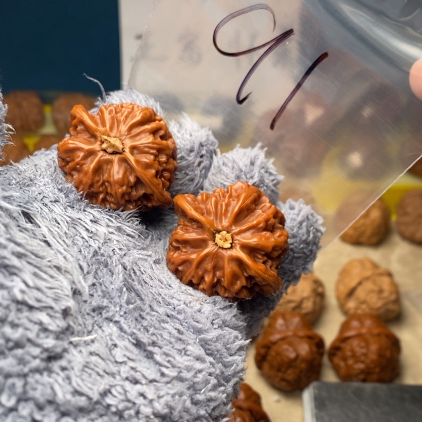 【闪购商品】文玩核桃吊坠大***领