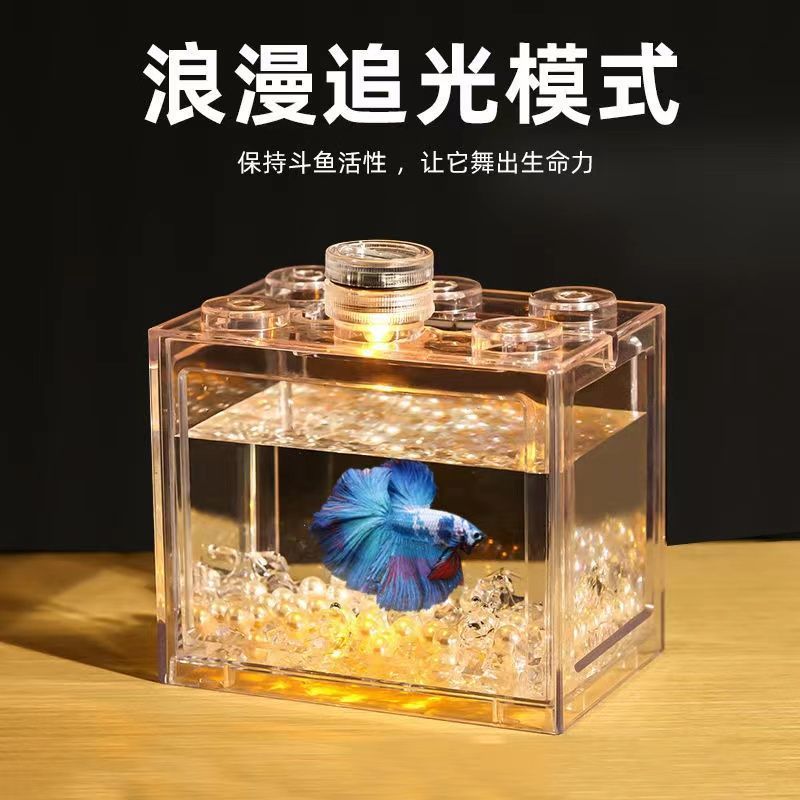 泰国斗鱼便携式积木鱼缸小型海藻球盒积木式微景观创意买二送一