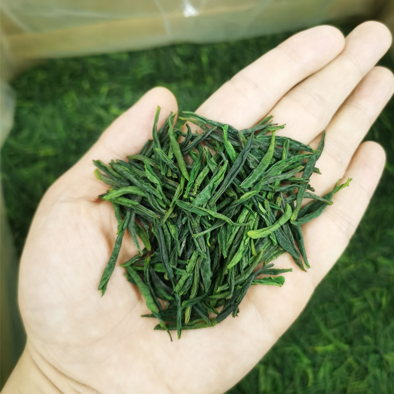 2025新茶】土种瓜片2025新茶雨前早期春茶绿茶安徽六安栗香茶叶