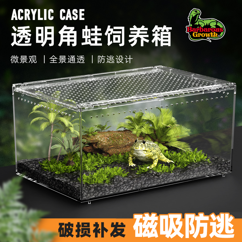 亚克力爬宠豹纹瘤尾守宫饲养箱鬃狮蜥蜴蛇爬虫蜘蛛蝎子角蛙饲养盒