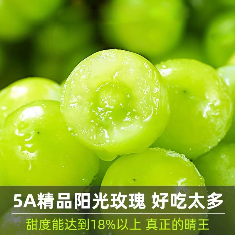 阳光玫瑰葡萄新鲜水果当季整箱5斤无籽青提子水晶晴王香印现摘甜