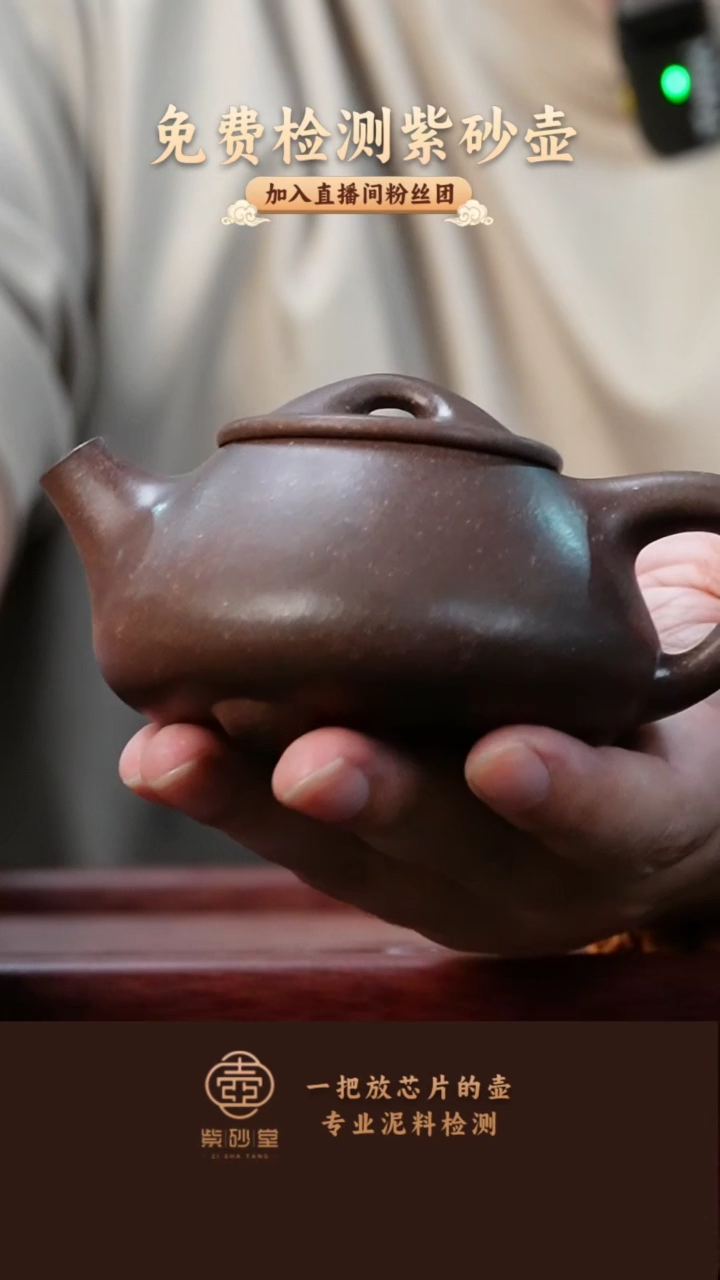 【闪购商品】紫砂茶壶共生矿 神侃满瓢