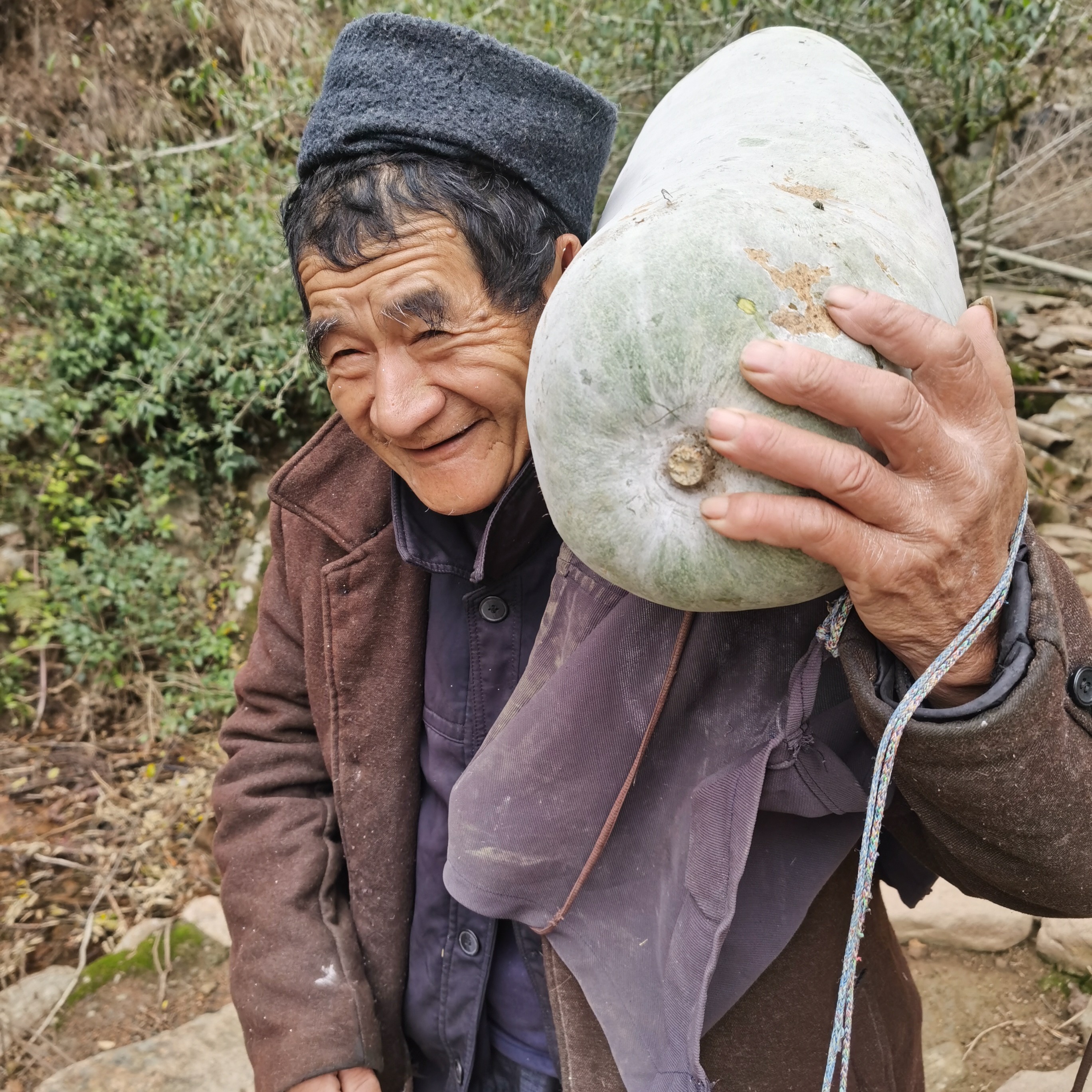 代购农家自晒冬瓜燕（干）
