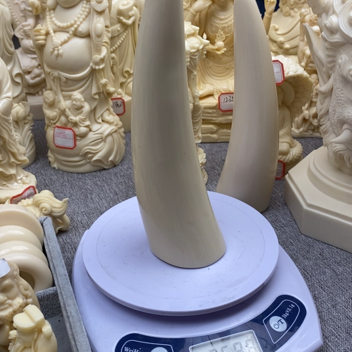 【闪购商品】红贵宝猛犸尖尖