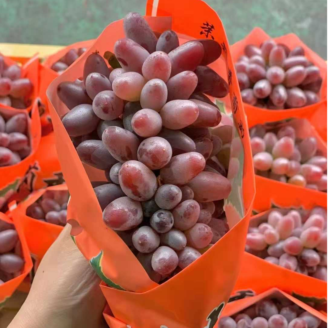 【新品】新鲜茉莉香葡萄0.5斤左右1串【30分钟内配送到家】