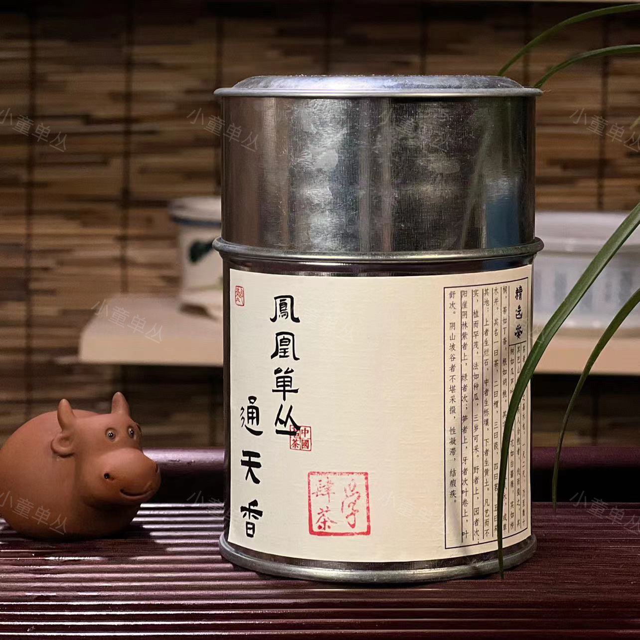【通天香坎脚】2023年春茶兰花香辛辣感花香气木质香明显回甘山韵足