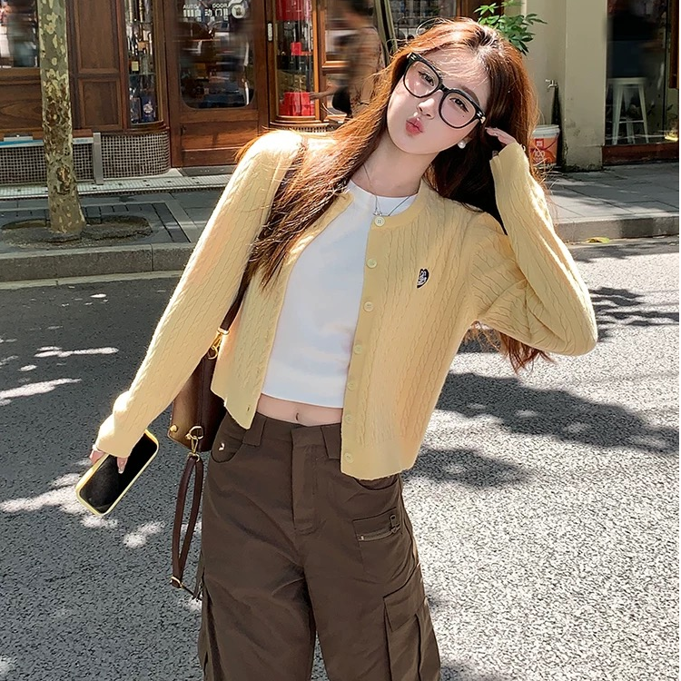 爱心刺绣长袖针织衫开衫外套女秋季2024新款内搭毛衣初秋上衣