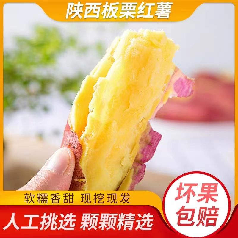 陕西板栗红薯现挖现发新鲜番薯3斤5斤9斤包邮