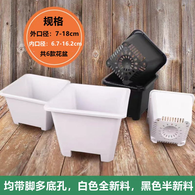 【白方/黑方塑料盆】多肉花盆塑料盆小白方盆透气耐用新料精品白色