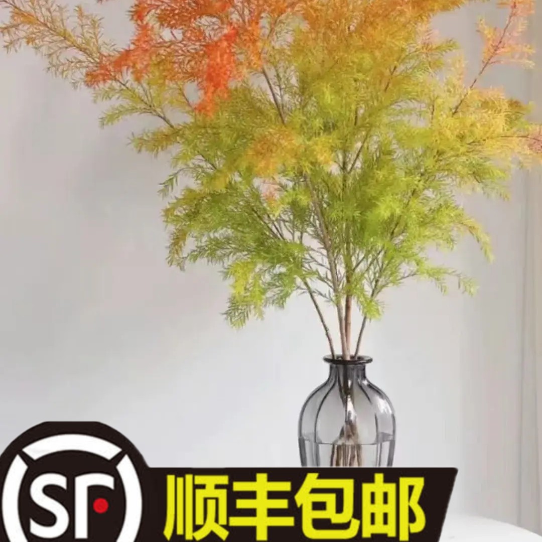 千层金多福多金小众鲜切花（顺丰斗南直发）