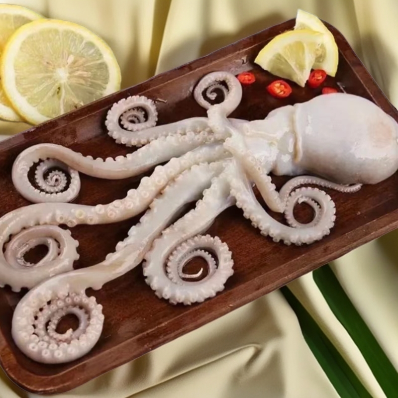 皮口当地小船海捕鲜活小八爪鱼保鲜不保活