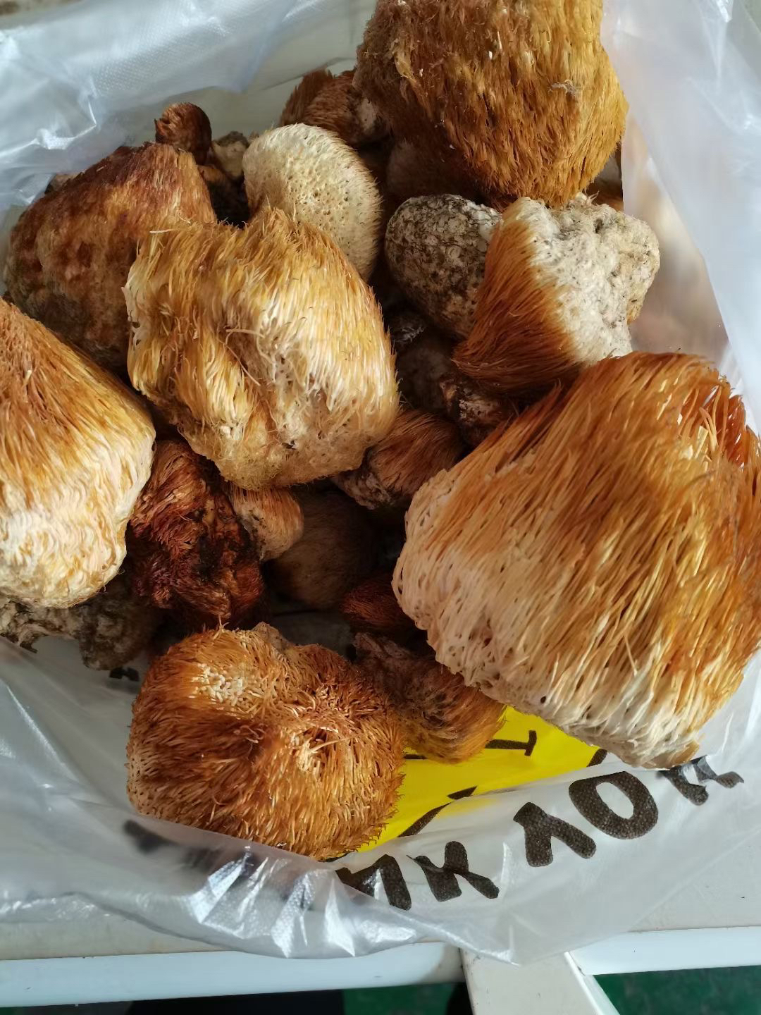 深山野生猴头菇250克包邮