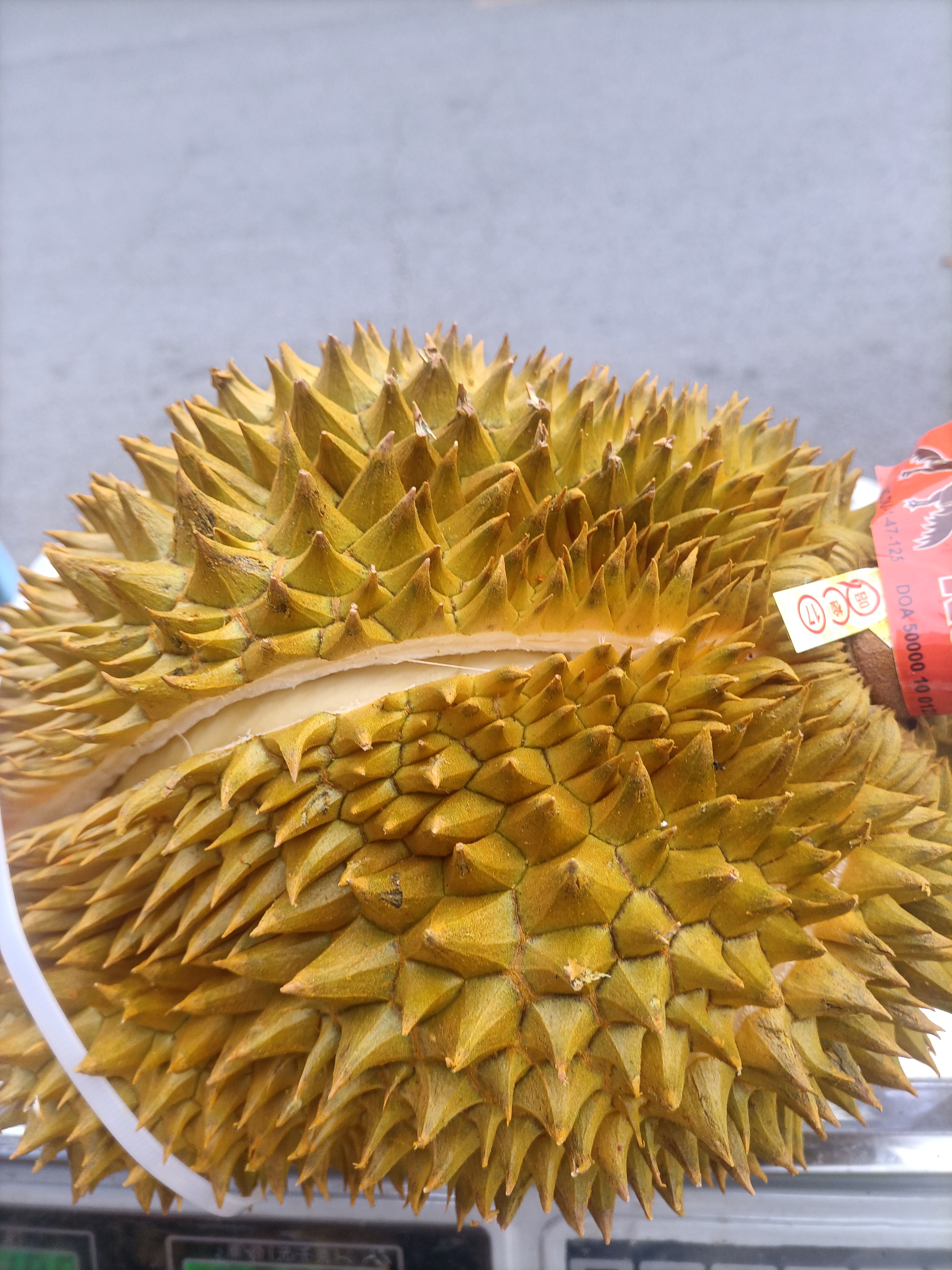 34号一物一拍泰国金枕榴莲