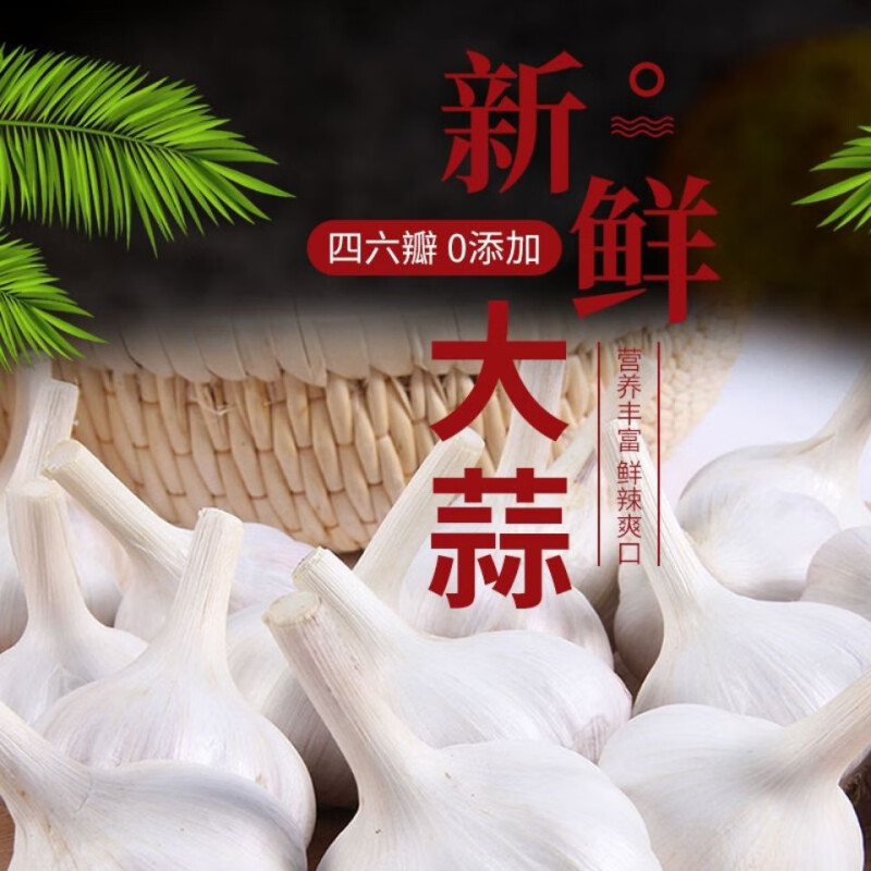 传统大蒜正宗四六瓣大蒜自然种植饱满香辣